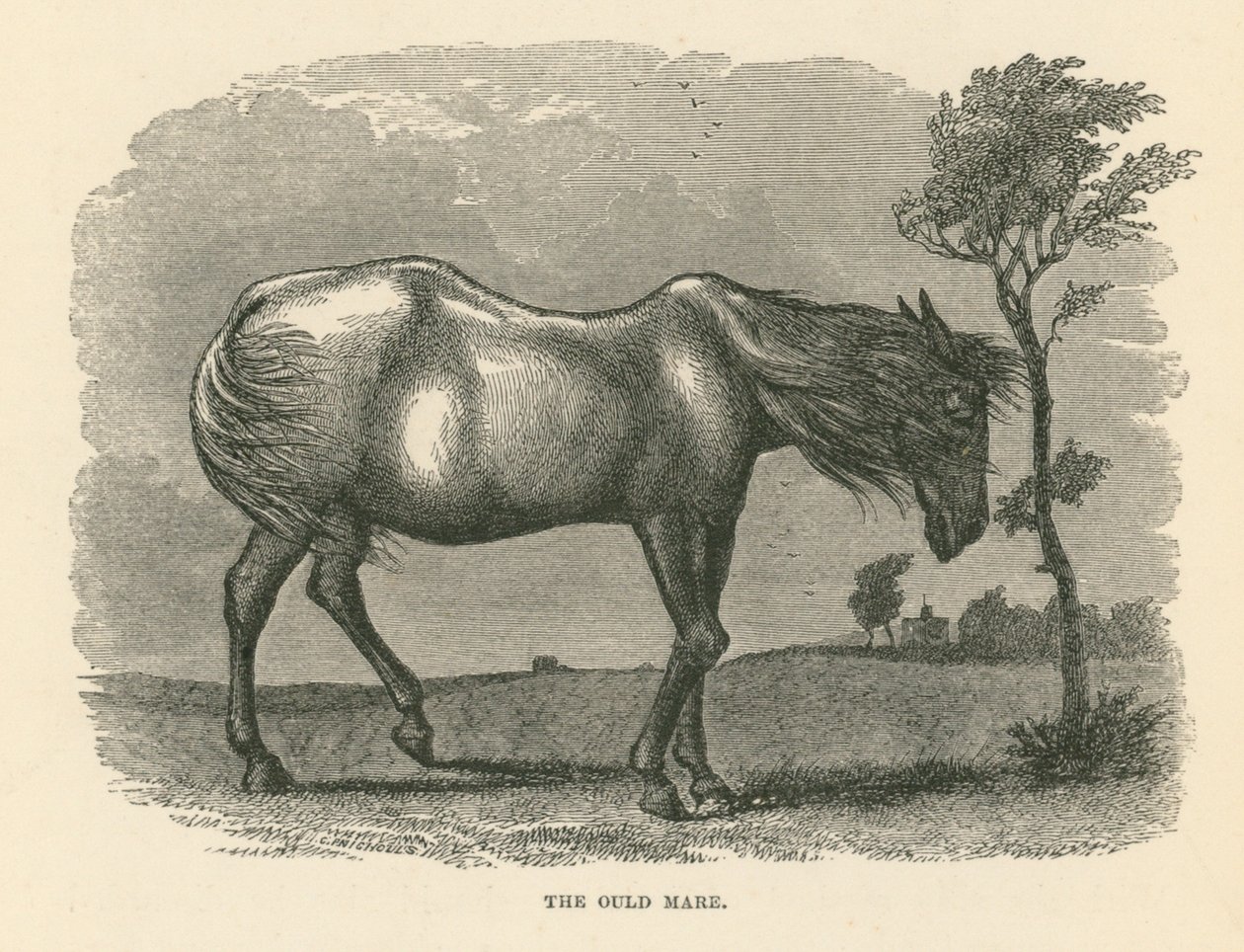 The Ould Mare (gravyr) av English School