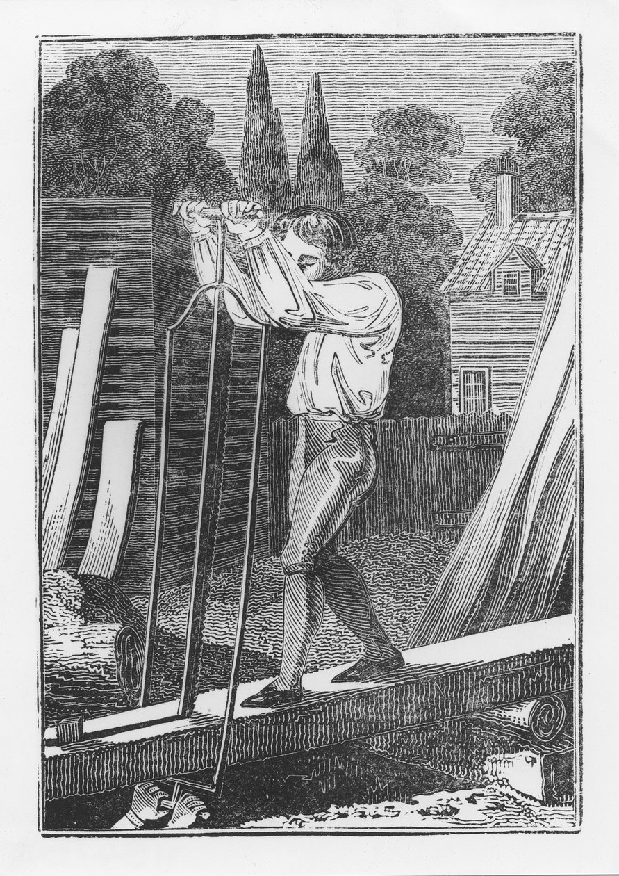 The Sawyer, från The Young Tradesman or Book of English Trades, 1839 av English School