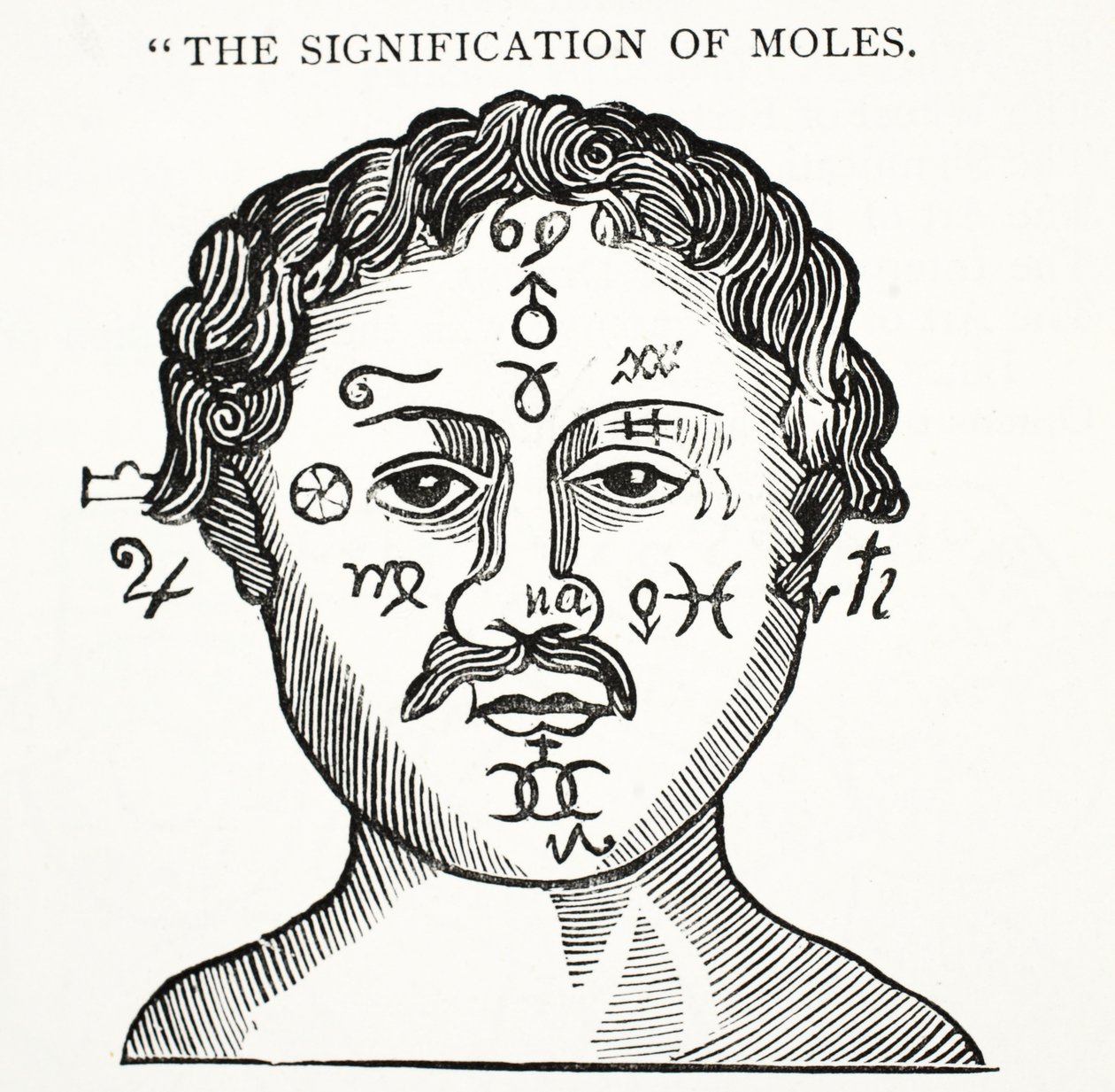 The Signification of Moles, illustration från Chap-books of the artonde århundradet av John Ashton, pub. 1882 av English School
