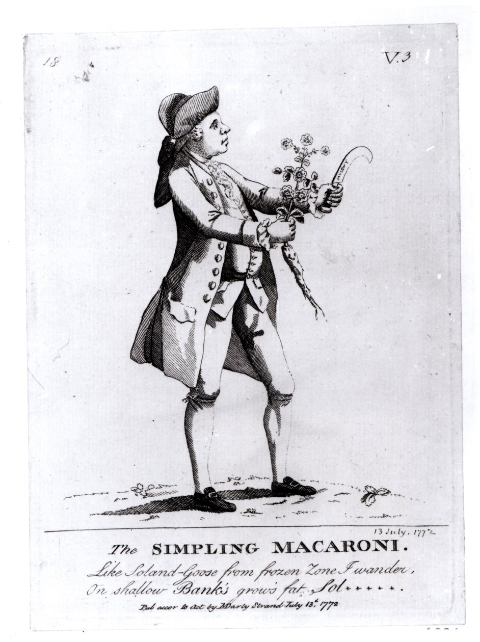 The Simple Macaroni, pub. av N. Darly, 13 juli 1772 (gravyr) (bw-foto) av English School