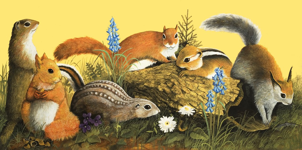 The Squirrel Family, illustration från "Once Upon a Time" (gouache på papper) av English School