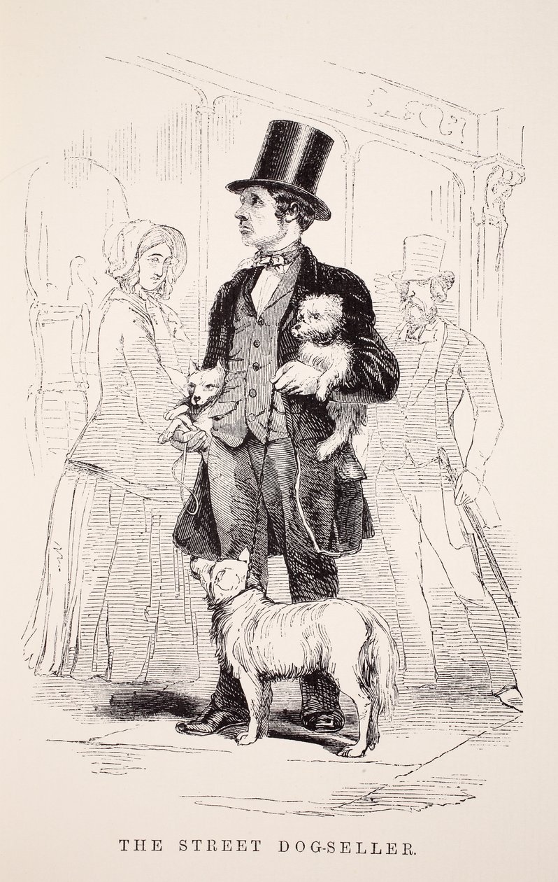 The Street Dog-Seller, illustration från London Labor och London Poor av Henry Mayhew, pub. 1862 av English School