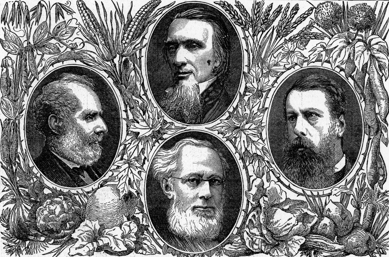The Vegetarian System - Några ledande medlemmar av Vegetarian Society, publicerad i The Graphic, 1874 av English School