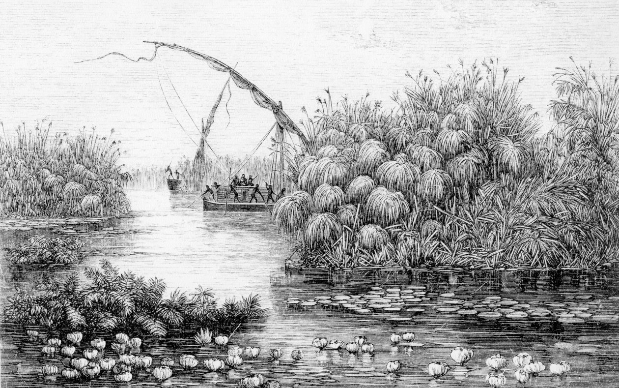 Fartygen i gräsbarriären, från "The Heart of Africa, tre års resor och äventyr i de outforskade regionerna i Centralafrika, från 1868 till 1871", av Georg August Schweinfurth av English School