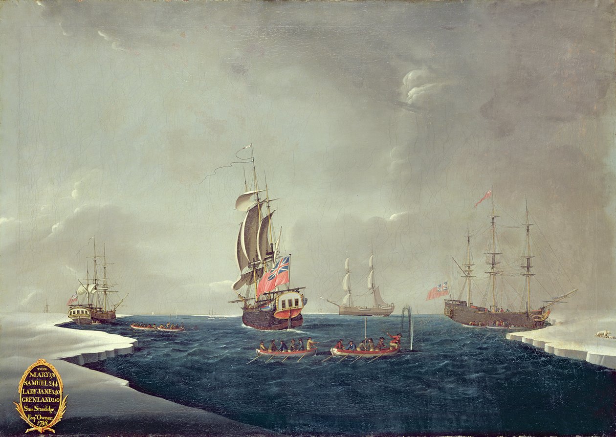 Sir Samuel Standidges valfångstflotta av English School