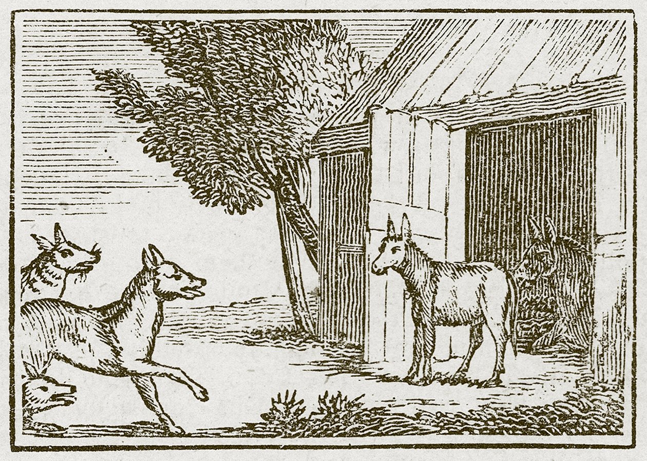 Vargarna och den sjuka åsnan (gravyr) av English School