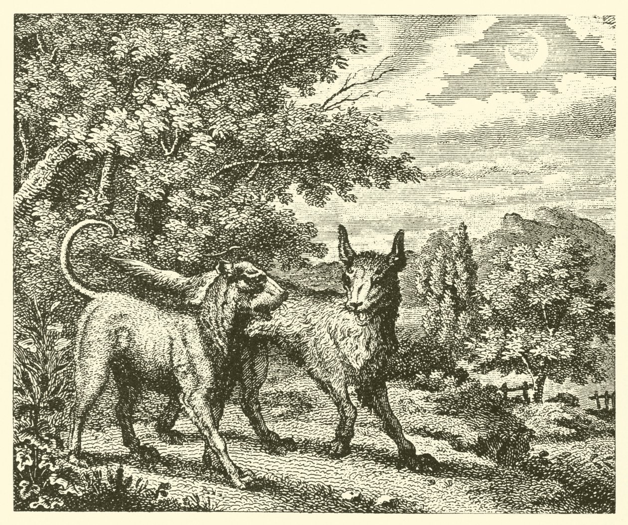 Hunden och vargen (gravyr) av English School