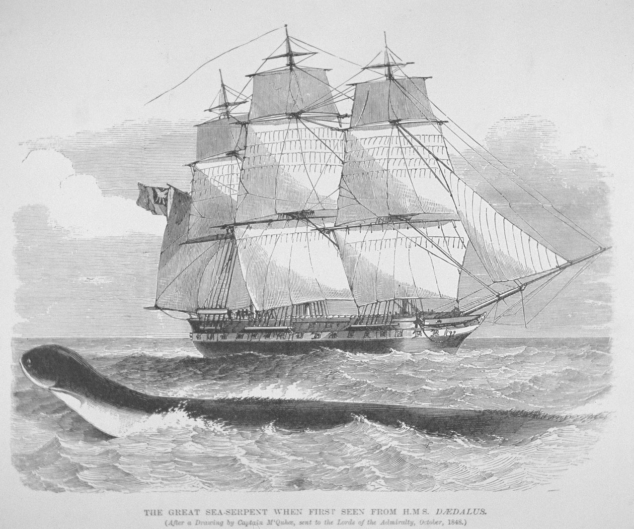 Den stora sjöormen när den först sågs från HMS Daedalus 1848, ca 1848 (gravyr) av English School