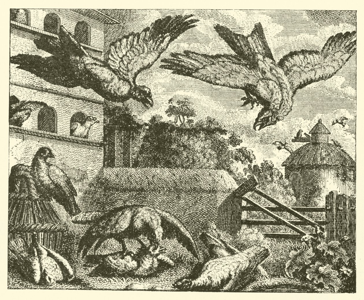 Draken och duvorna (gravyr) av English School