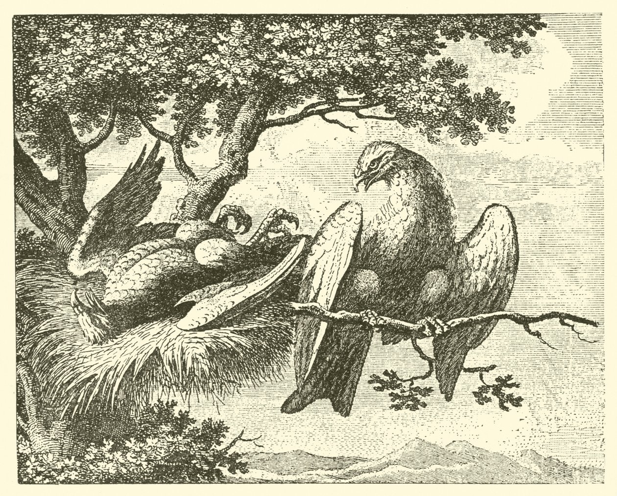 Den sjuka draken (gravyr) av English School