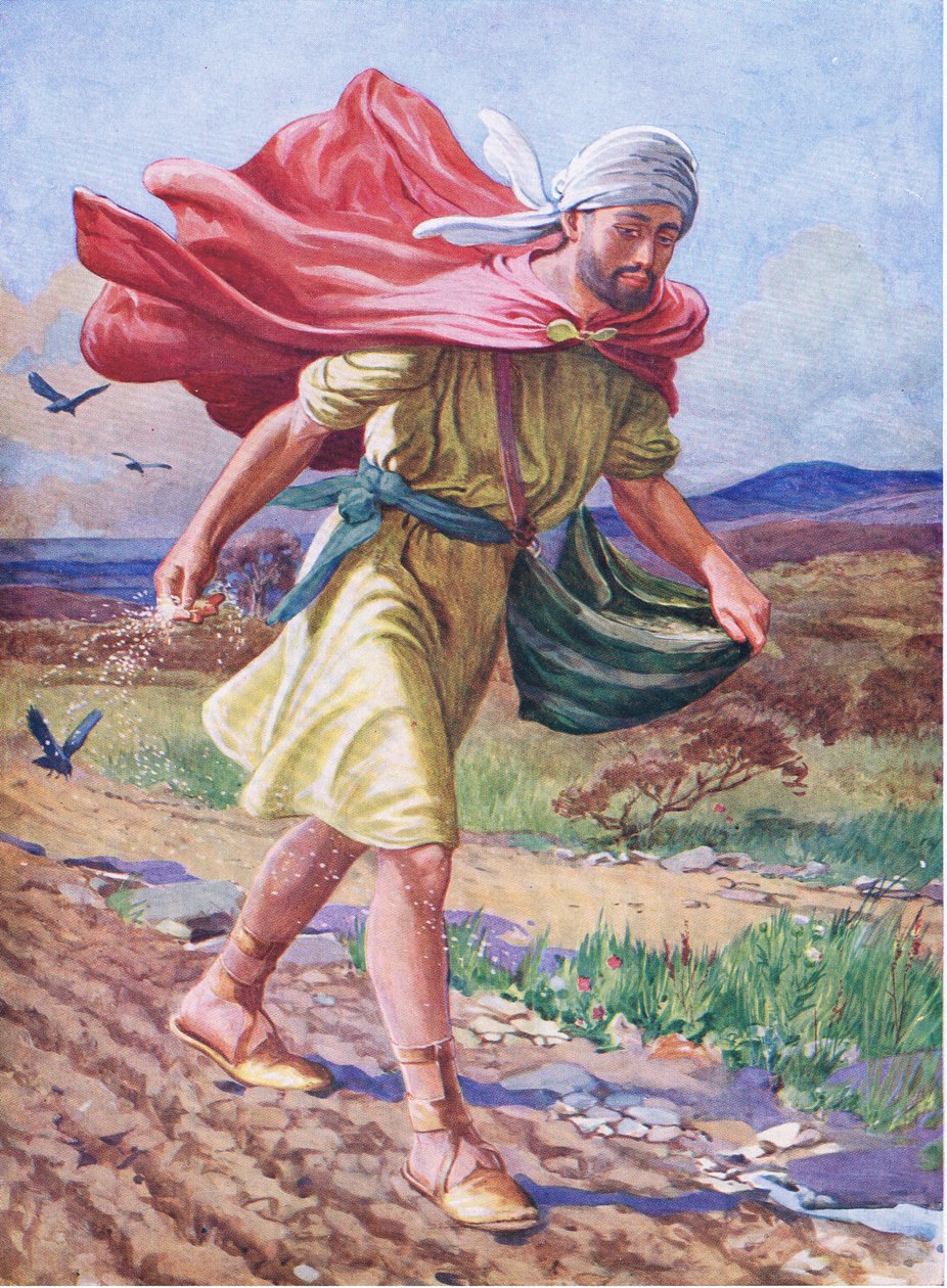 Såningsmannen, från The Bible Picture Book utgiven av Thomas Nelson, ca 1950 (färglitografi) av English School
