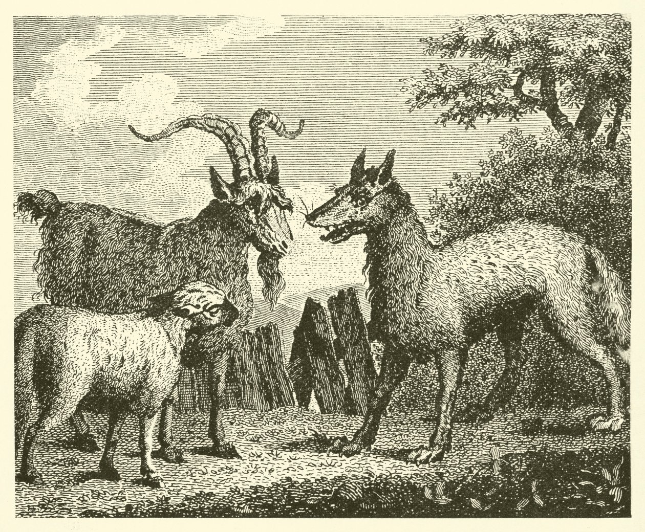 Vargen, lammet och geten (gravyr) av English School