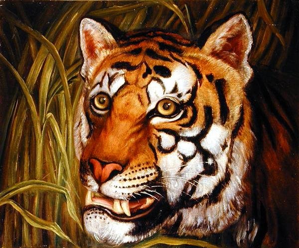 Tiger, tiger brinner ljust... (olja på duk) av English School