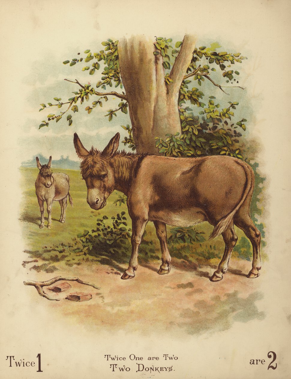 Två åsnor (chromolitho) av English School