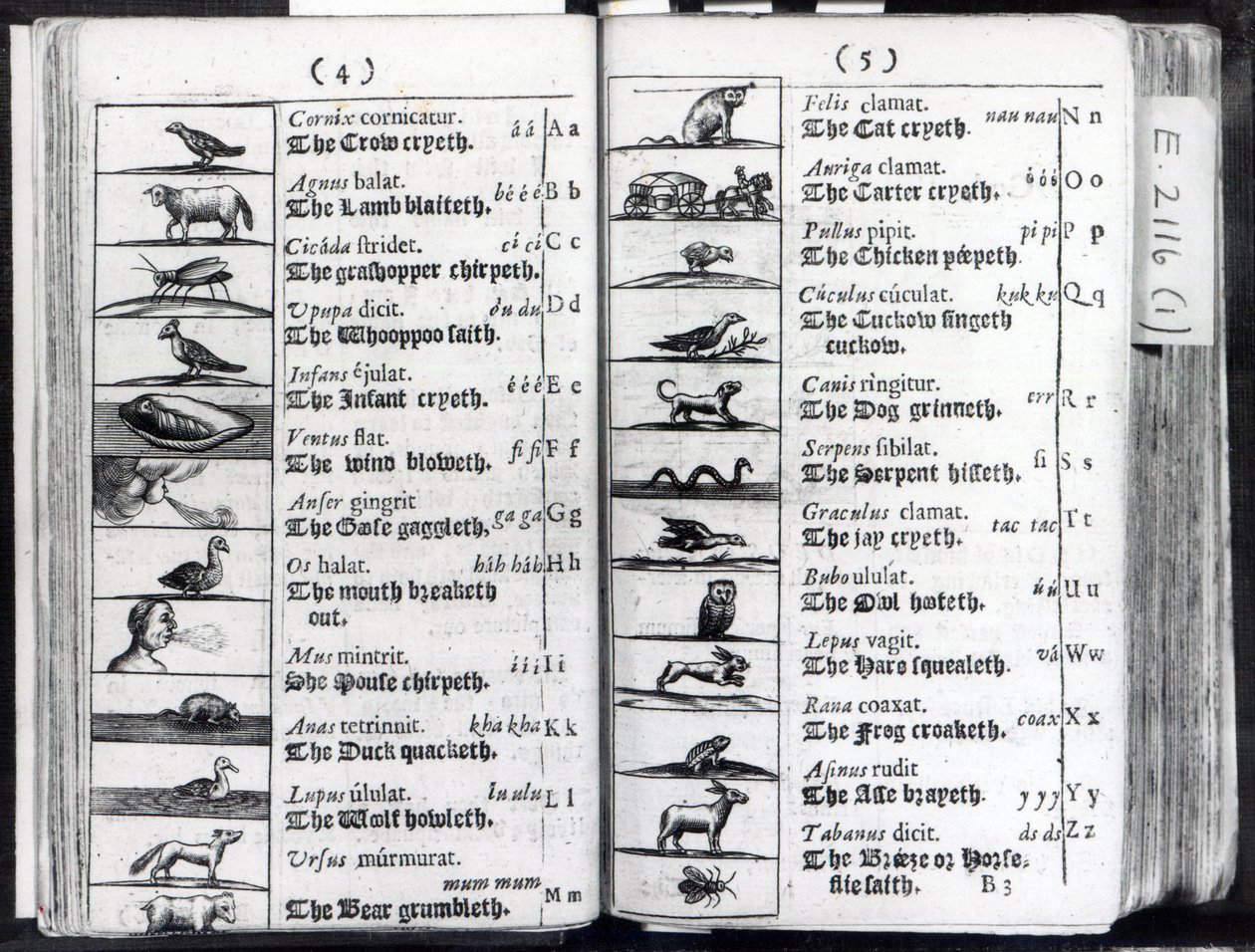 Två sidor från Orbis Sensual Pictus av Comenius, 1659 av English School