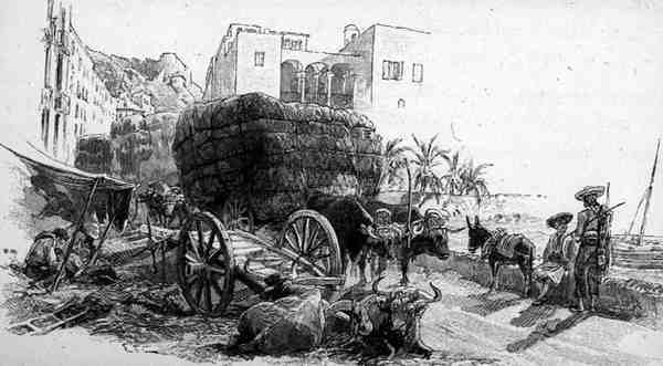 Vagnar med Esparto Grass, Almeria, Spanien, från 