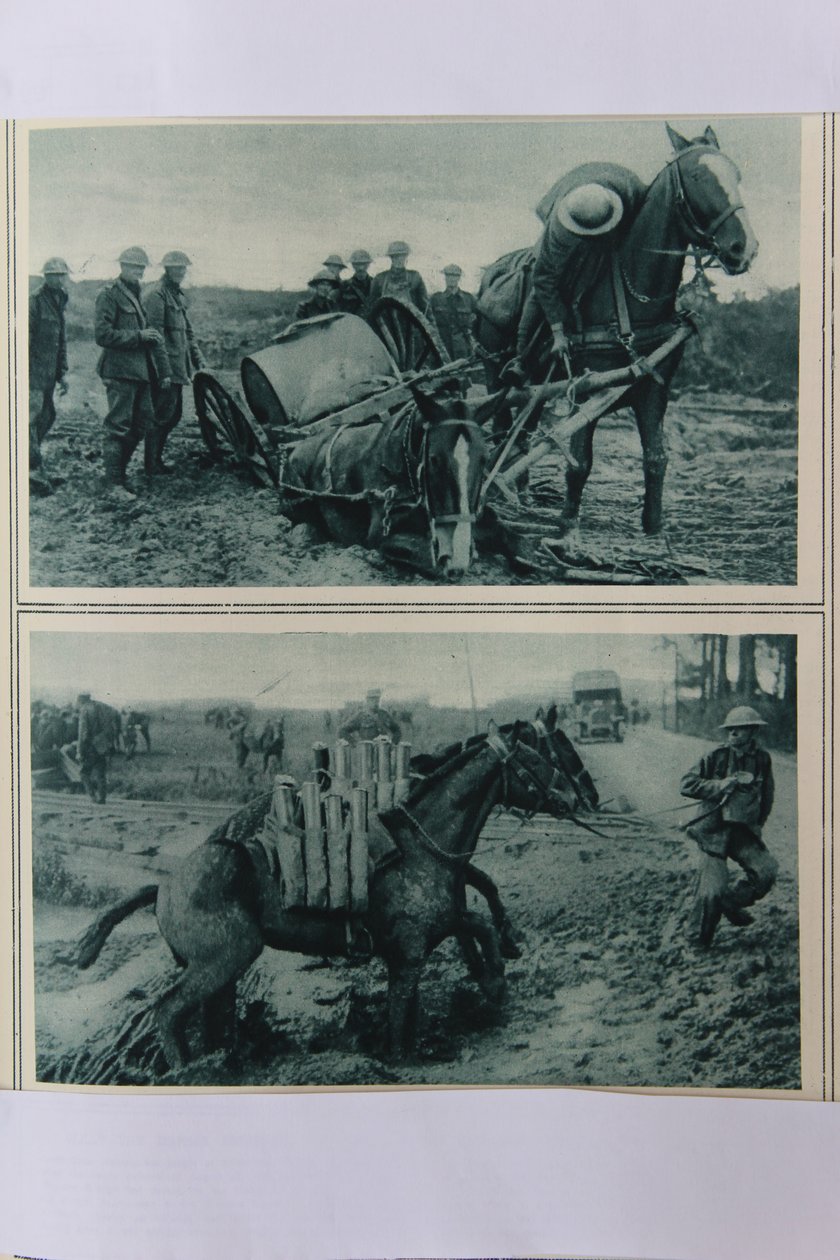 Krigshästar som sjunker i leran, norra Frankrike, augusti 1917 av English School