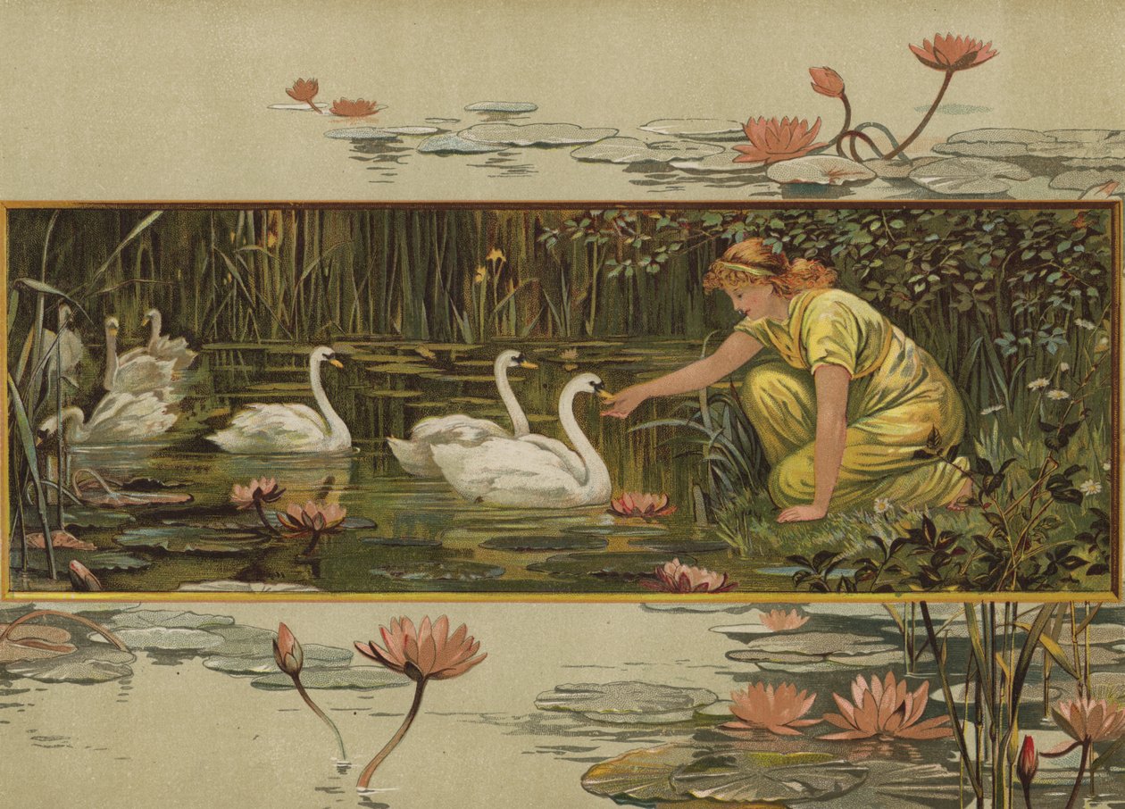 Där näckrosorna växer (chromolitho) av English School