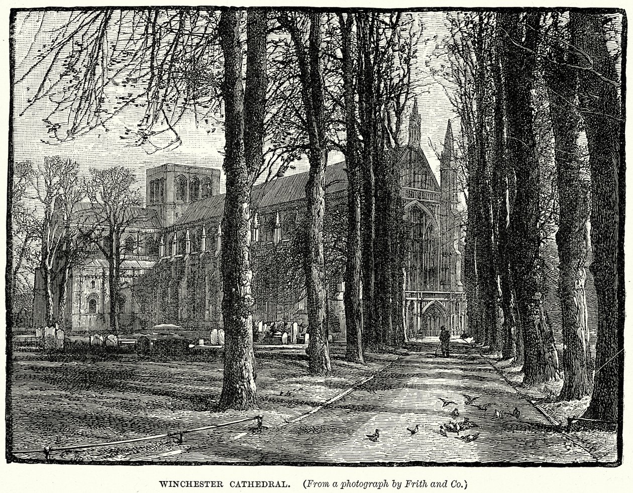 Katedralen i Winchester (gravyr) av English School
