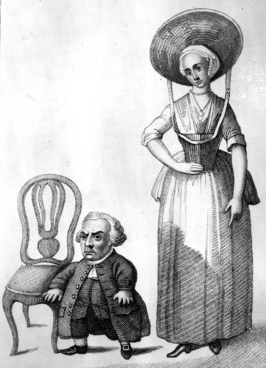 Wybrand Lolkes, illustration i 