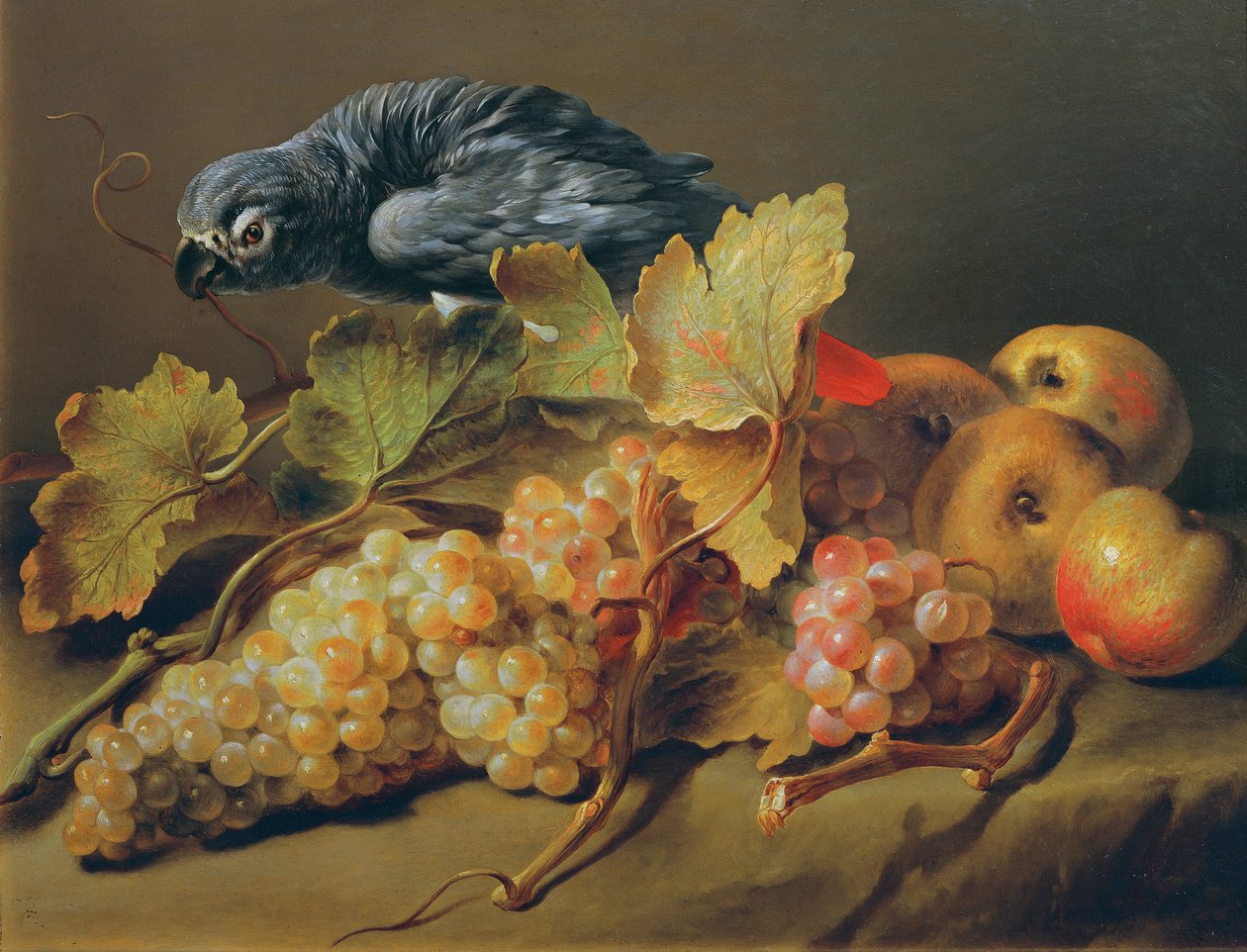 Stilleben med papegoja och vindruvor av Erasmus von Engert