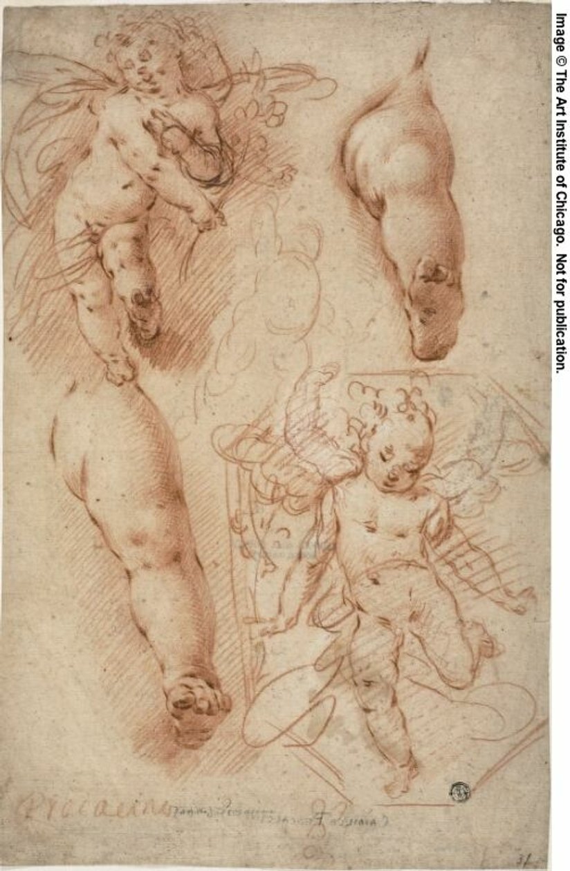 Skisser av putti, ben av Ercole Procaccini the younger