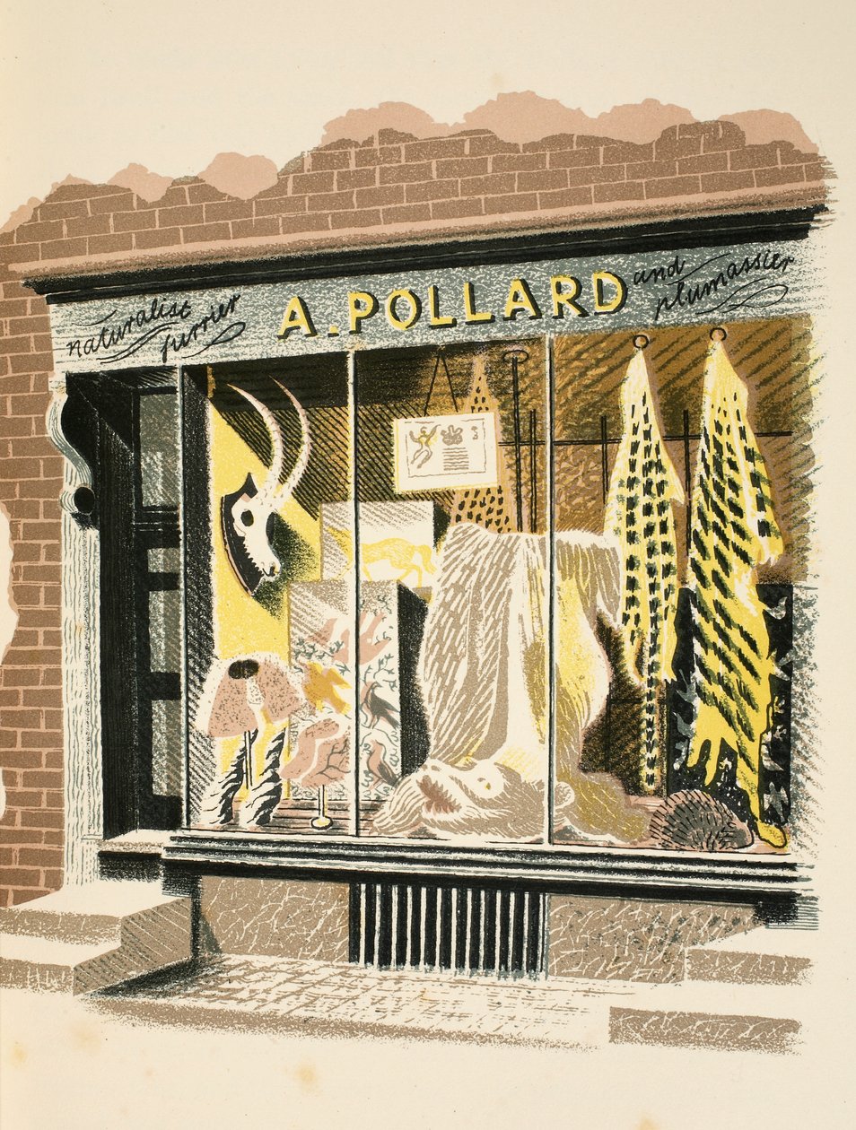 Furrier, illustration från 