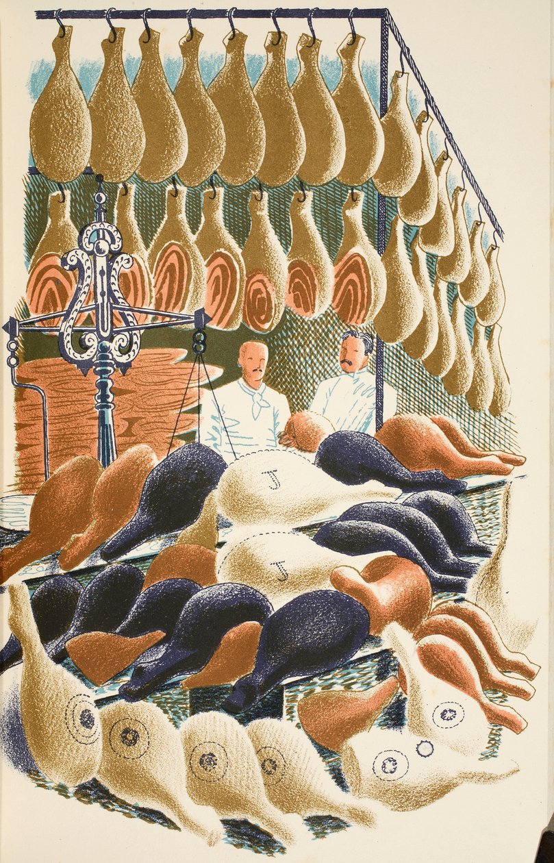 Hams, illustration från 