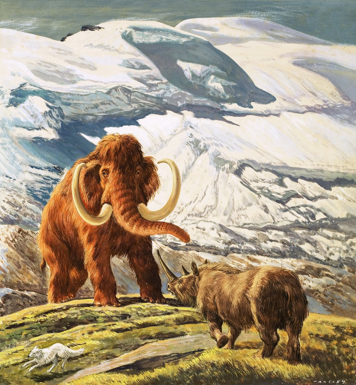 Mammoth meets Rhinocerous (gouache på papper) av Eric Tansley