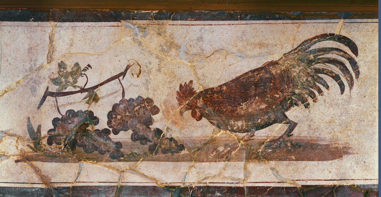 Tupp och vindruvor, Herculaneum, Italien (fresco) av Erich Lessing