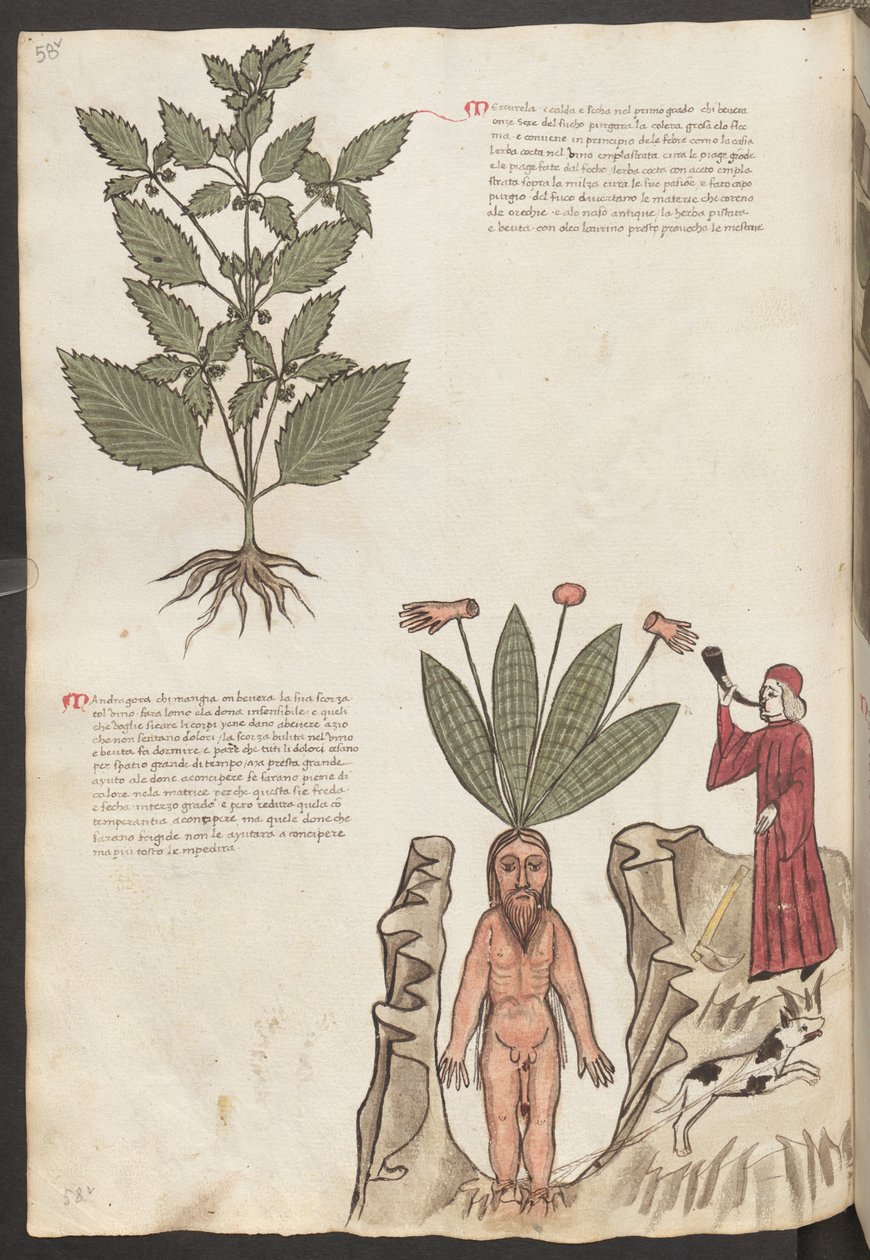 Helsida: text och miniatyrer: " Mercurela " (miniatyr) av Erich Lessing