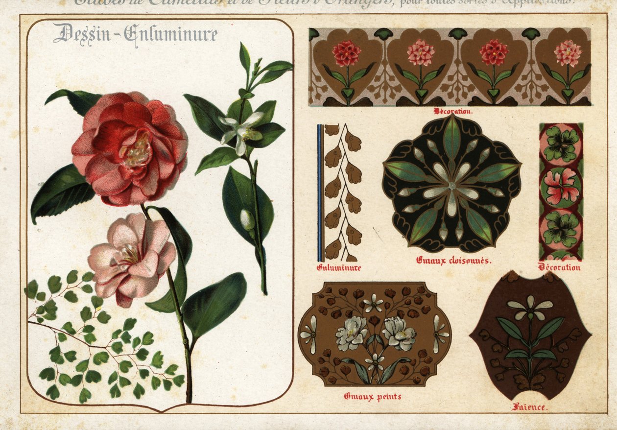 Bilder på kamelia och apelsinblommor från manuskript och deras av Ernest Guillot