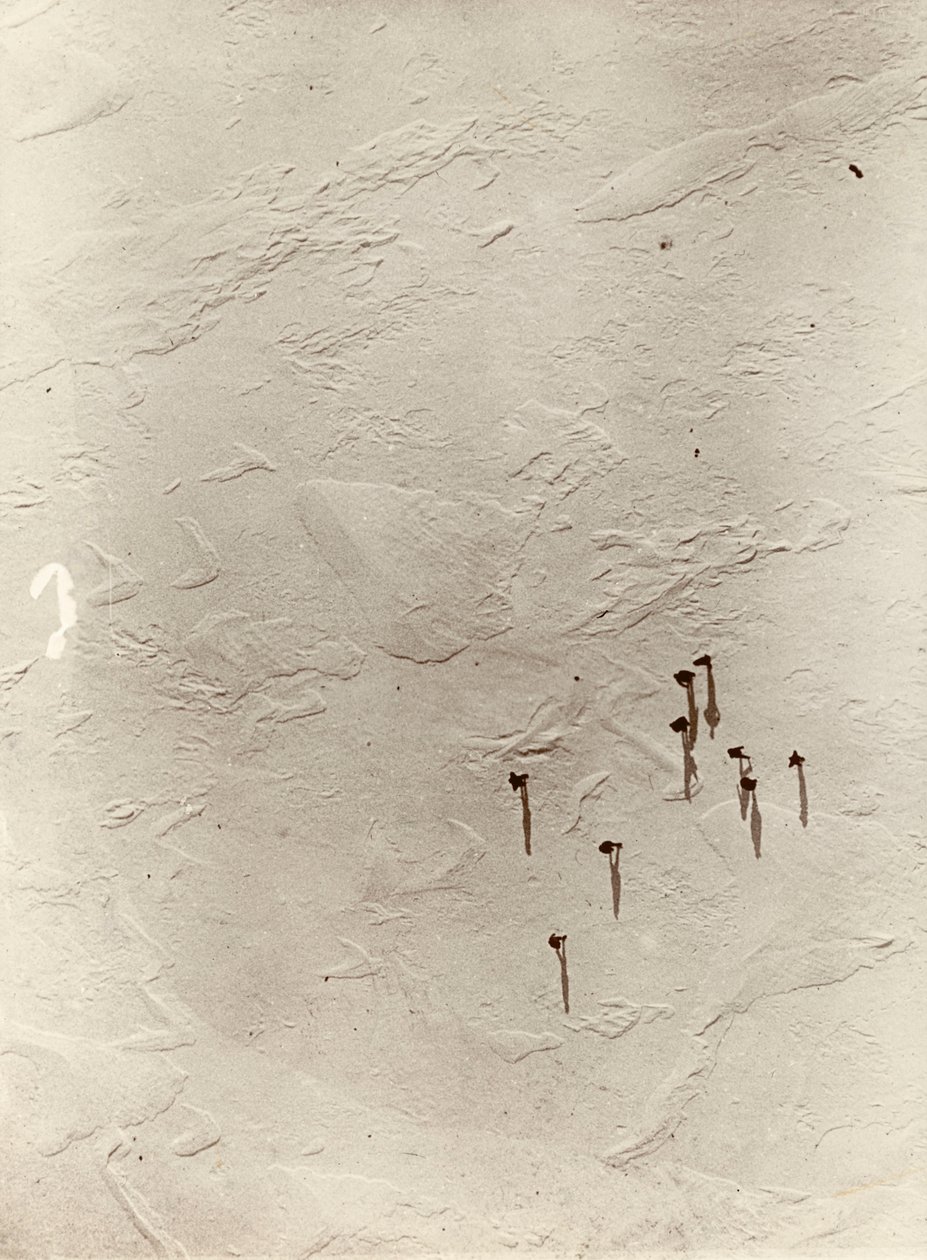 Blick ner från ballongen över platån mot "Discovery" (1901). Från album av Sir Ernest Henry Shackleton med titeln National Antarctic Expedition (1901-1903) av Ernest Henry Shackleton