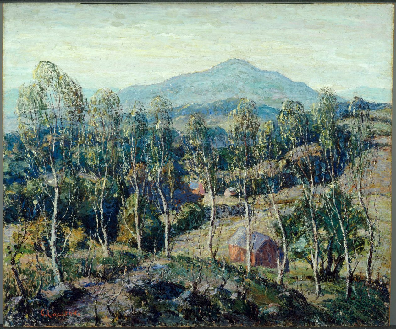 Björkar i New England av Ernest Lawson