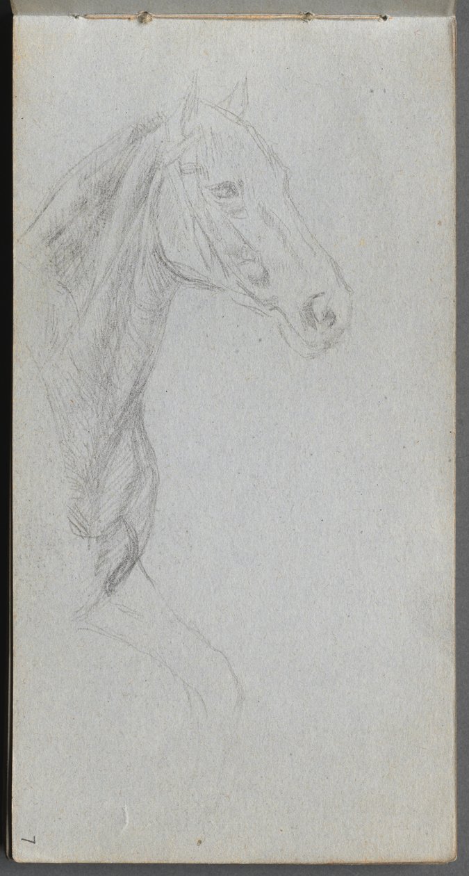 Skissbok, sidan 07: Studie av en häst. av Jean Louis Ernest Meissonier