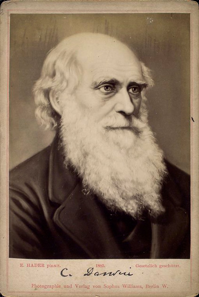 Charles Darwin, brittisk naturforskare, c1860-c1870-talet av Ernst Hader