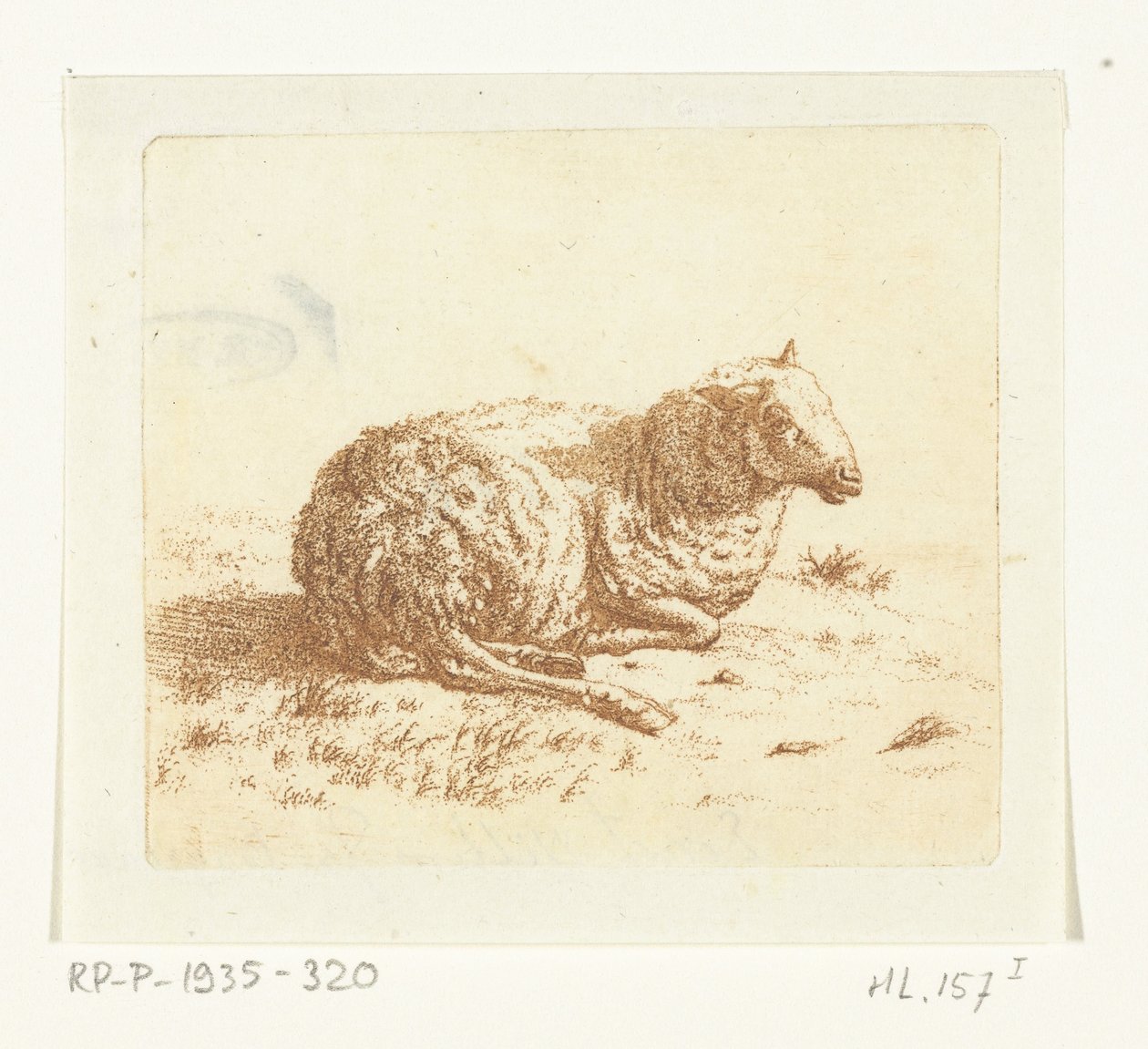 liggande får av Ernst Willem Jan Bagelaar