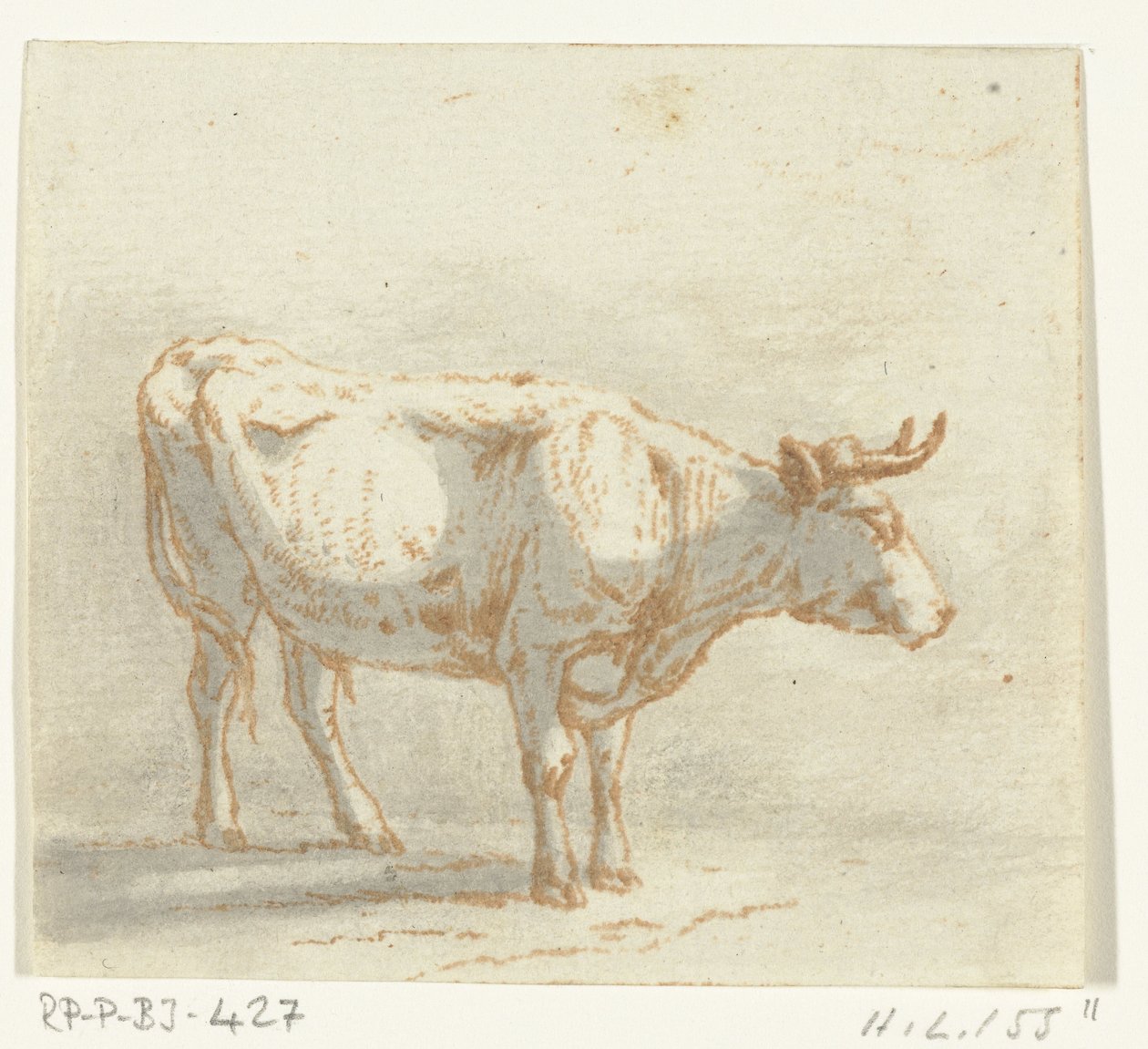 Oxen står, vänd åt höger av Ernst Willem Jan Bagelaar