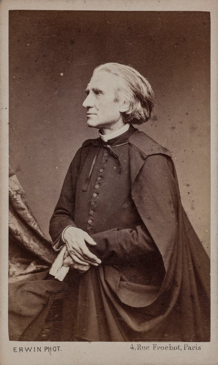 Porträtt av kompositören Franz Liszt 1811-1886. av Erwin Hanfstaengl