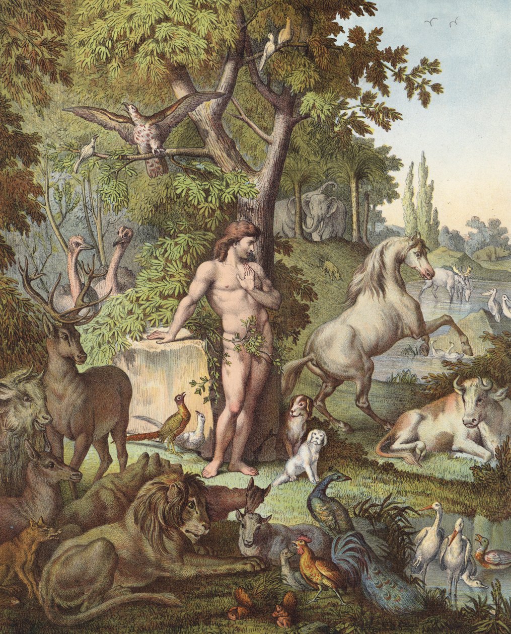 Adam i Edens lustgård (färglitografi) av Etienne Antoine Eugene Ronjat