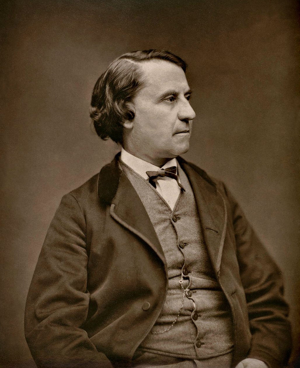 Porträtt av Louis Blanc 1811-1882, ca 1873-1877. av Etienne Carjat