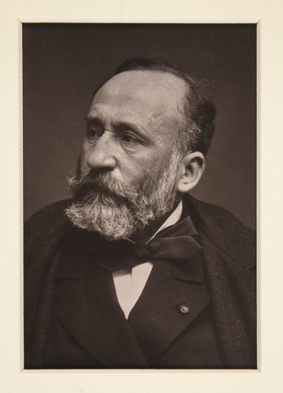 Porträtt av Pierre Puvis de Chavannes (1824-1898) av Etienne Carjat