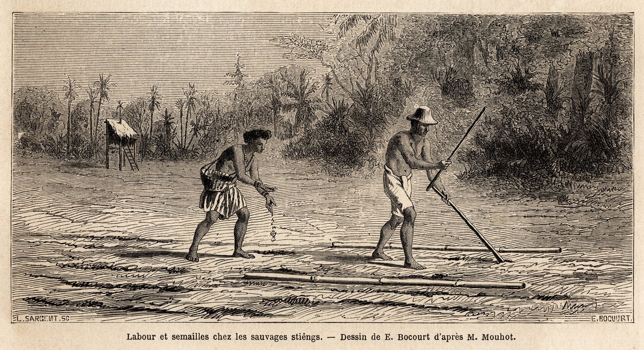Plöjer och sår bland vildarna Stiengs, invånare i Kambodjas skogar, teckning av E.Bocour, för att illustrera Henri Mouhots resa genom kungadömena Siam, Kambodja och Laos från 1858 till 1861. Gravyr i ”” Le tour du monde”” , redigerad av Etienne Gabriel Bocourt