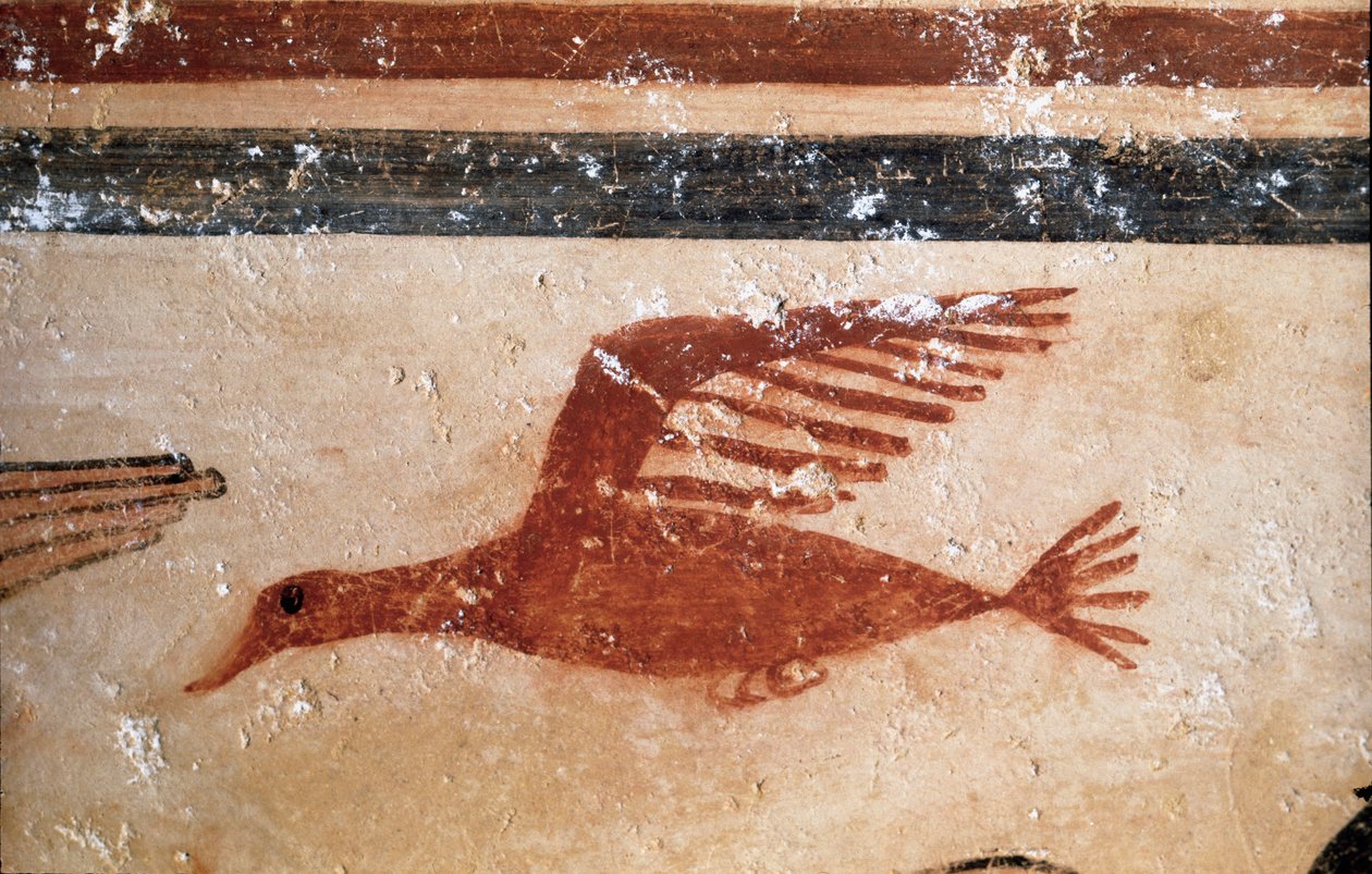 En fågel. (Detalj av fresk, 530 f.Kr.) av Etruscan