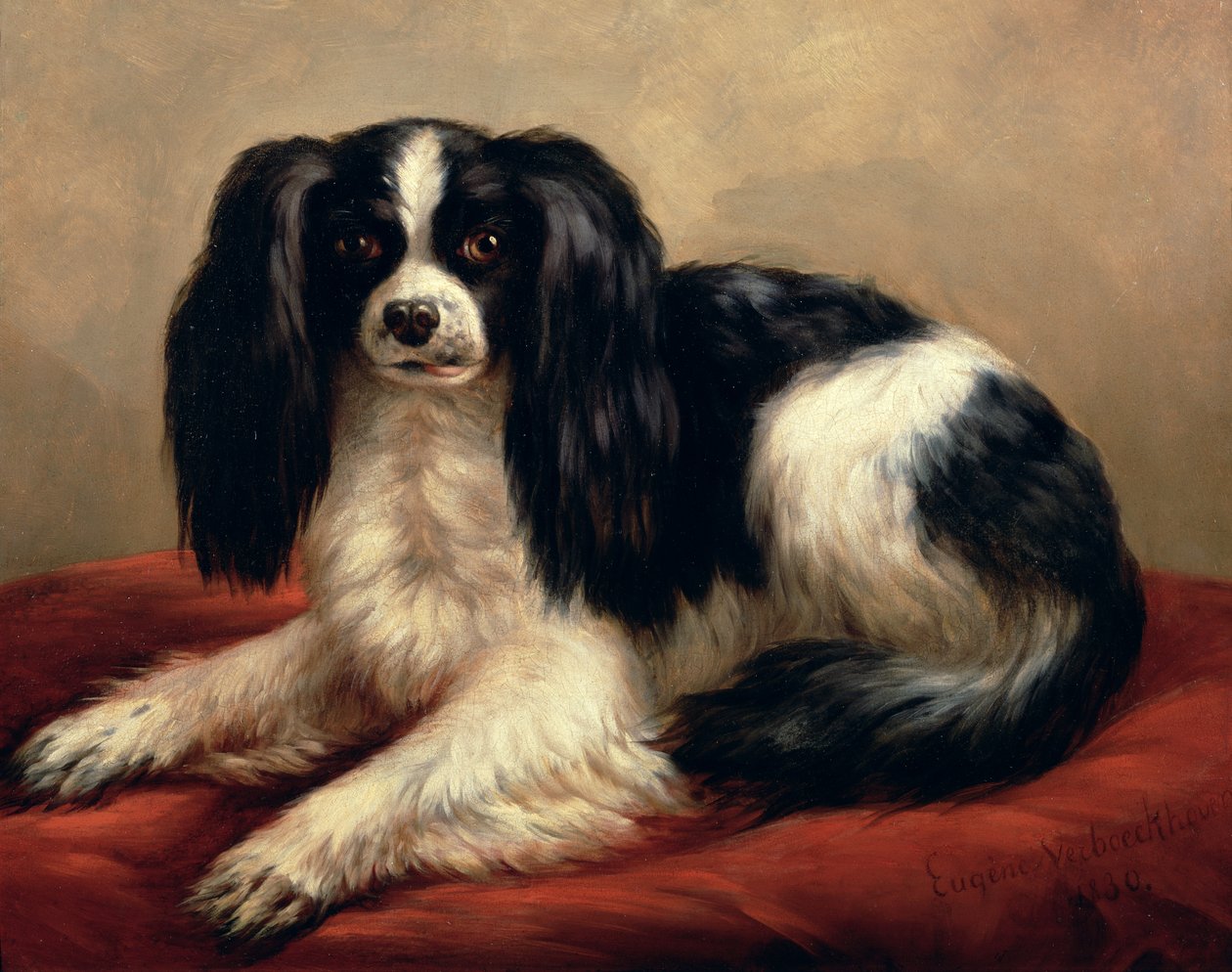 En King Charles Spaniel sitter på en röd kudde av Eugene Joseph Verboeckhoven