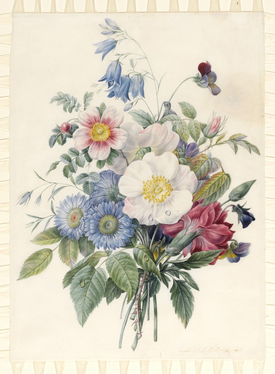 Blue Asters, Rosa Spinosissima Hybrid, Harebell, Violas, Cartnation and a Wild Rose, 1820 (wc & kroppsfärg över grafitkontur på veläng) av Eugene A. L. d Orleans
