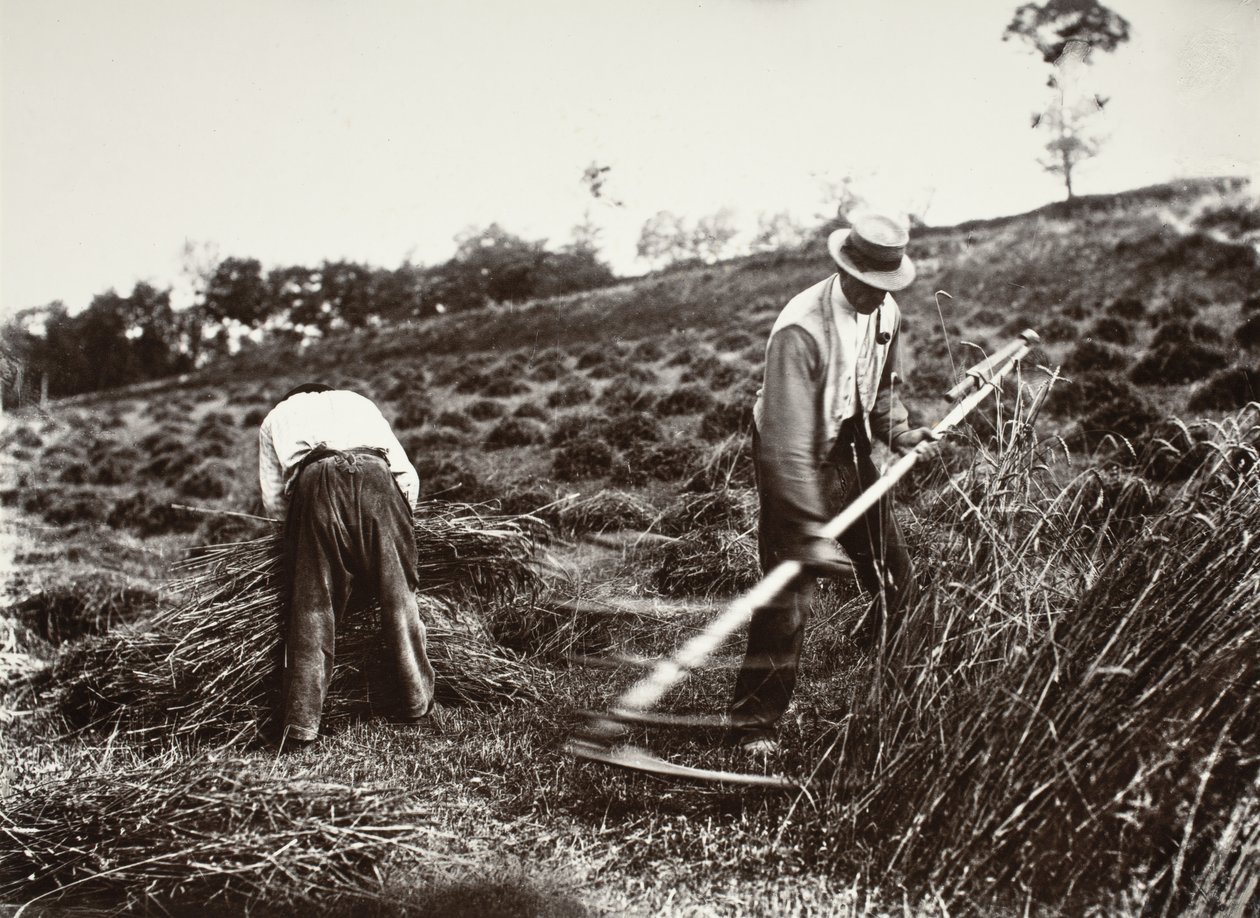 Slåtterfolk, Somme av Eugène Atget