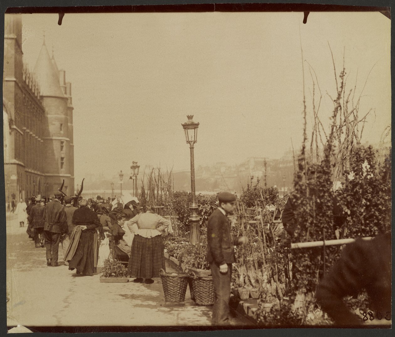 [Blomstermarknaden] av Eugène Atget