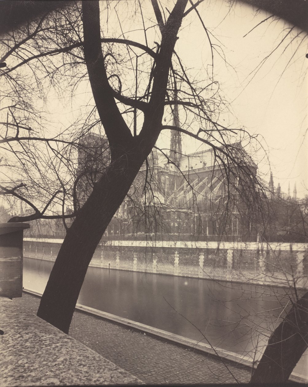Notre-Dame,1922 (foto) av Eugène Atget