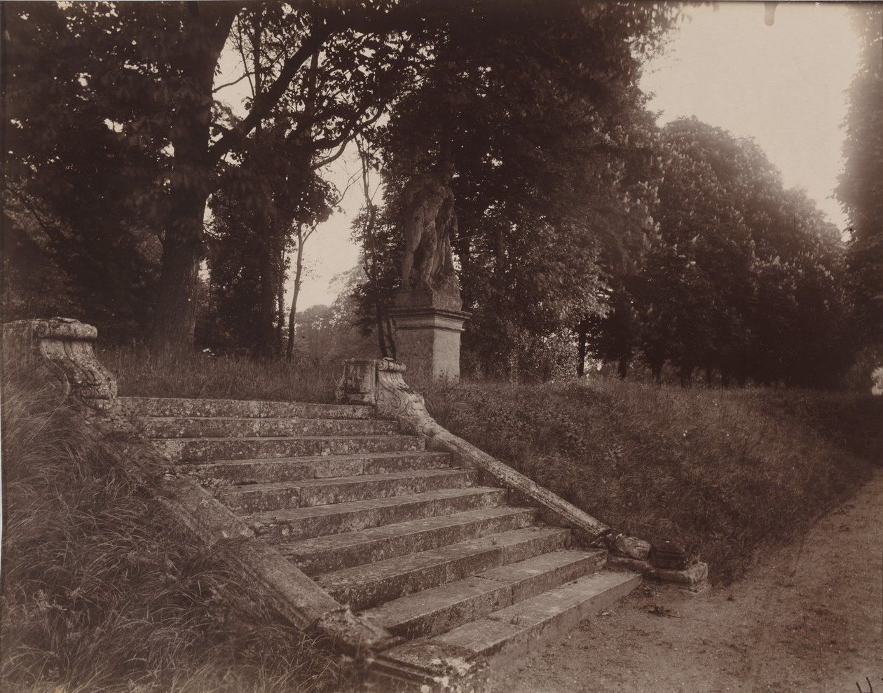 Parc de Sceaux,1925 (foto) av Eugène Atget